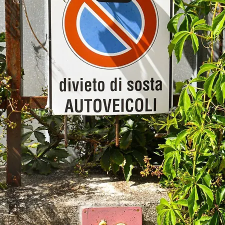 Pineta